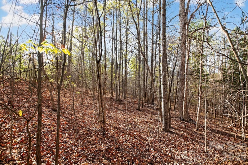 Lot 62 Dirksen Avenue, Nebo, NC -  - $29,500