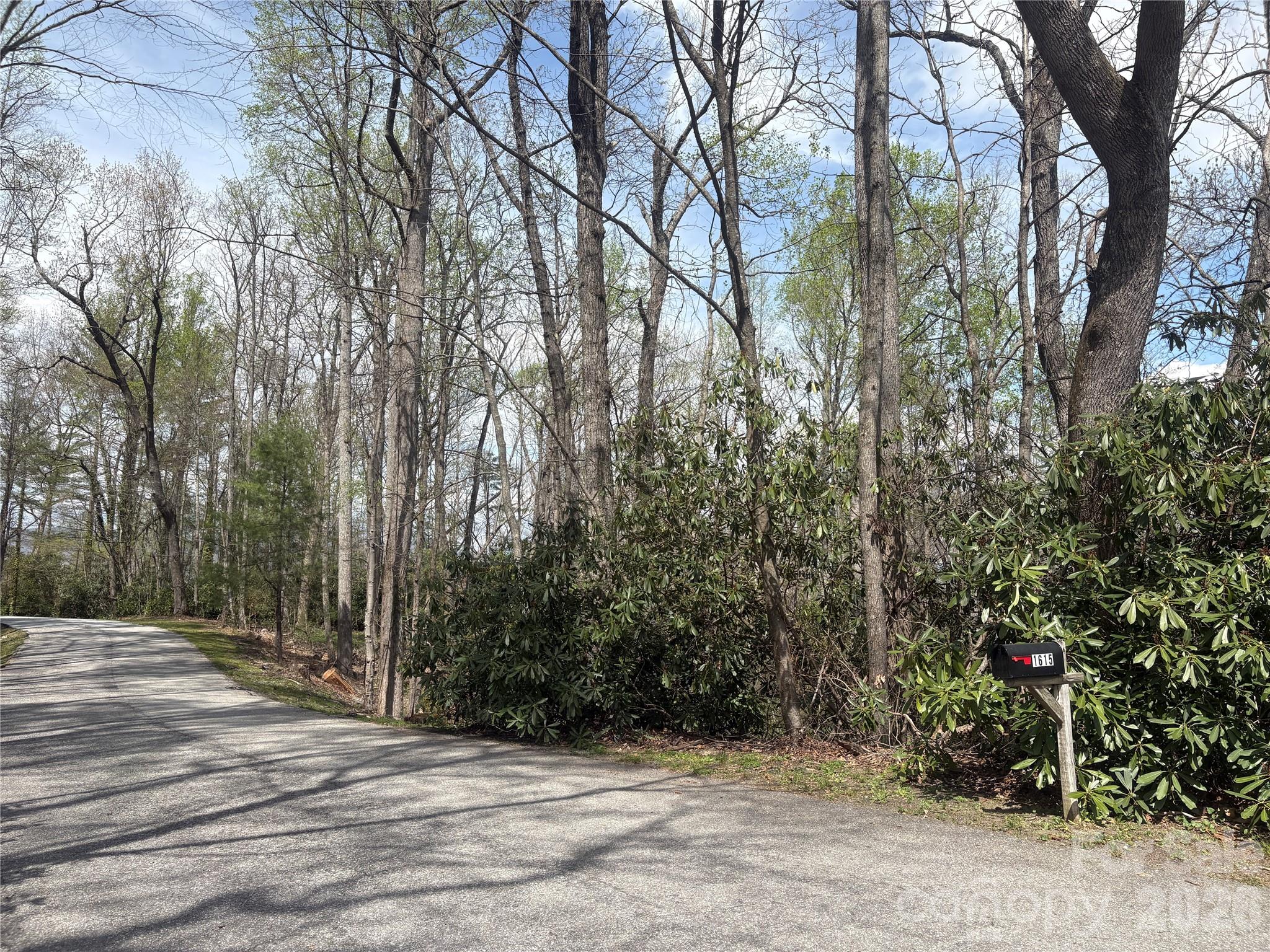 TBD Swiss Pine Lake Drive Apt 117, Spruce Pine, NC. property listing photo
