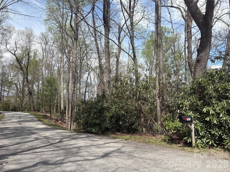 TBD Swiss Pine Lake Drive Apt 117, Spruce Pine, NC -  - $95,000