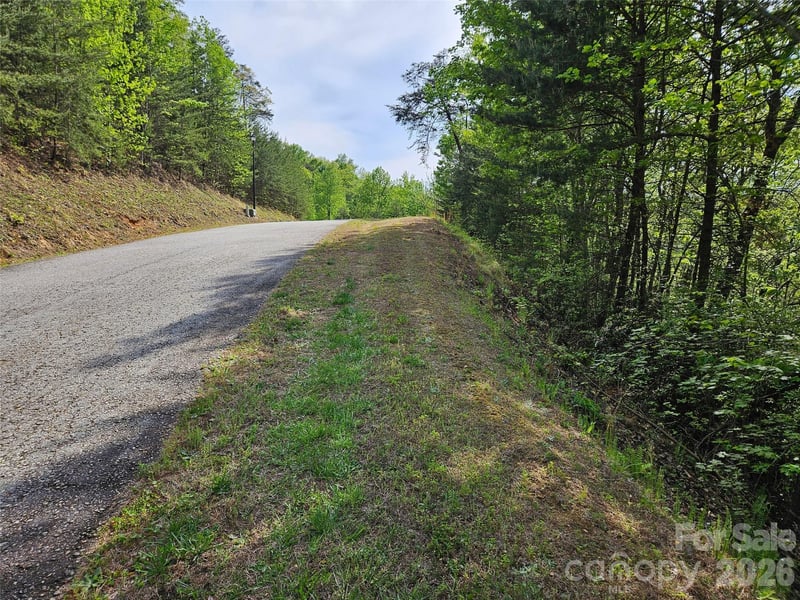 0 High Pines Loop Apt 101, Lake Lure, NC -  - $70,000