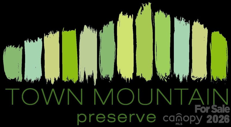 86 Bartrams Walk Drive Apt 14, Asheville, NC -  - $349,900