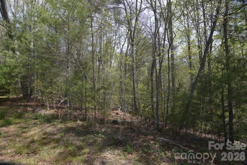 00 Garnet Drive, Leicester, NC -  - $125,000
