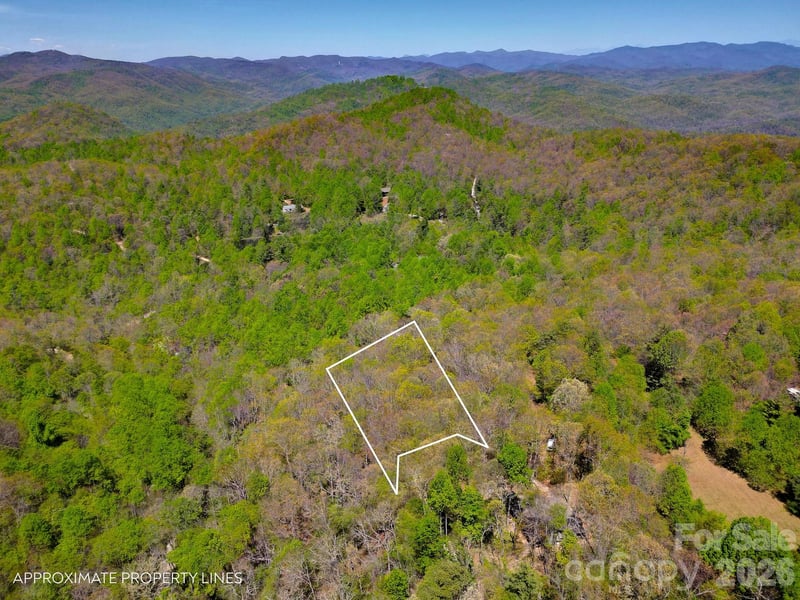 99999 Laurel Drive, Black Mountain, NC -  - $40,000