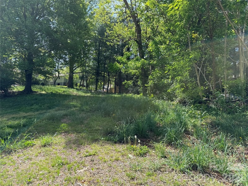 Lot 108 Mace Avenue, Asheville, NC -  - $155,000