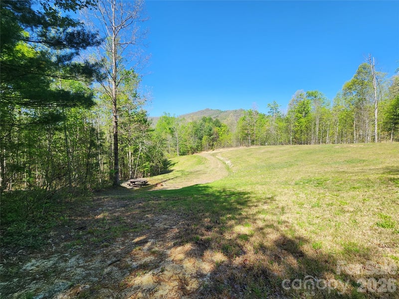 889 Firefly Trail, Marshall, NC -  - $125,000