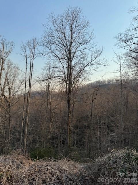 910 Morgan Hill Road, Black Mountain, NC -  - $25,000