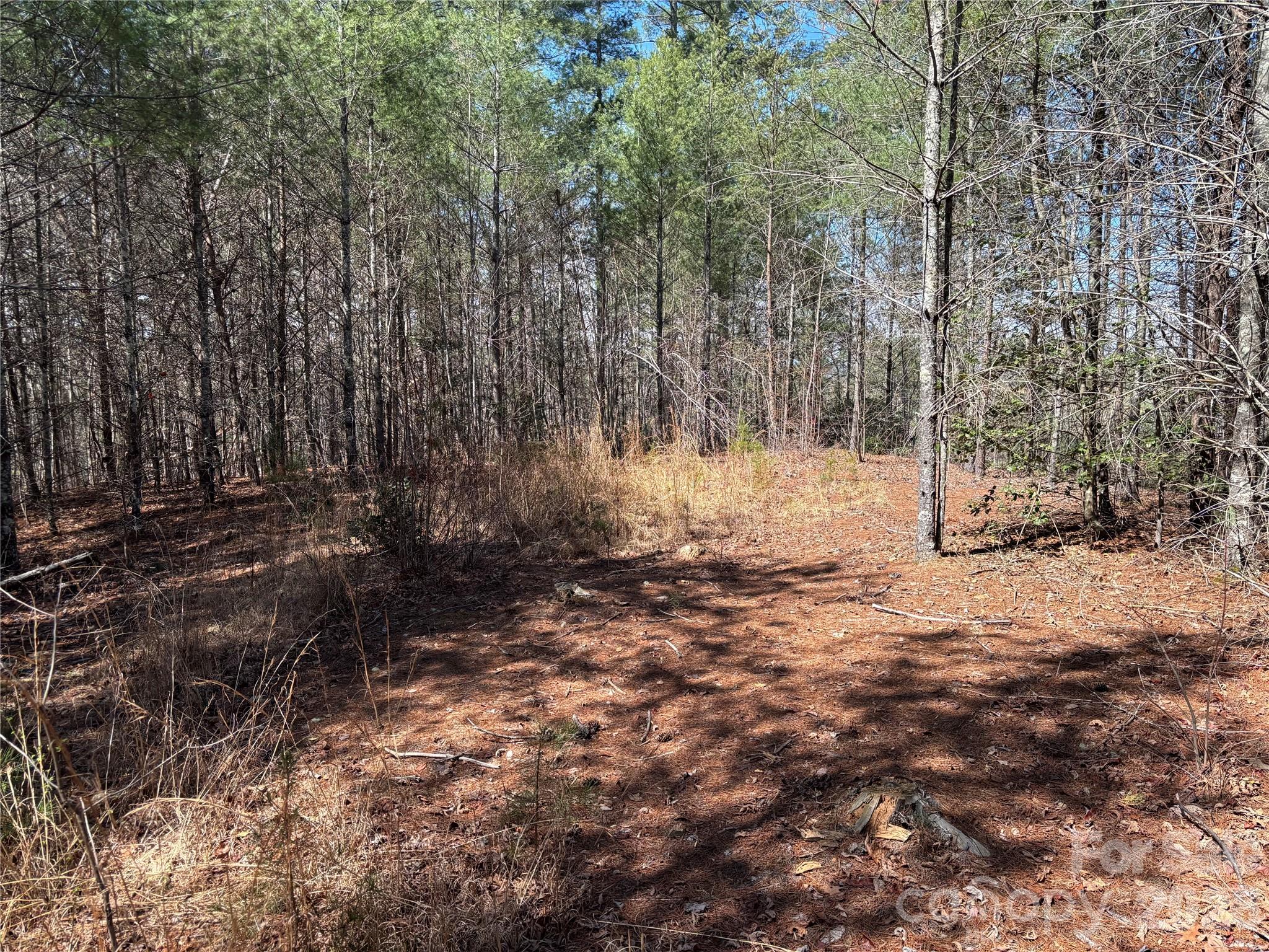 2042 Shadow Ridge Trail G41, Lenoir, NC. property listing photo