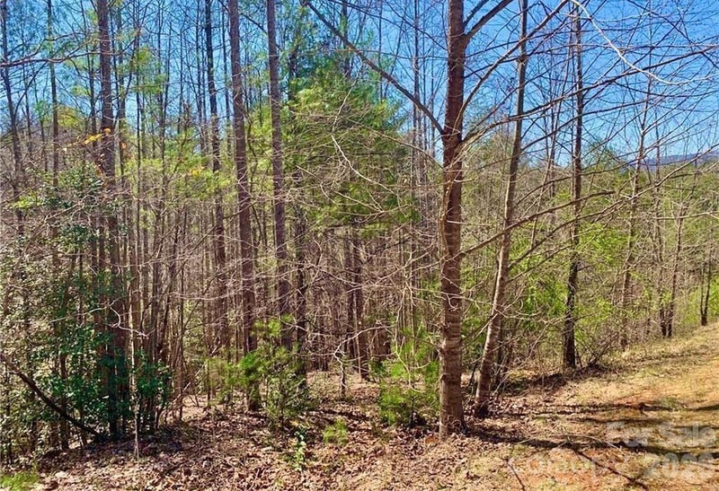 Lot 148 Rocky Falls Lane Apt 148, Lenoir, NC -  - $14,999