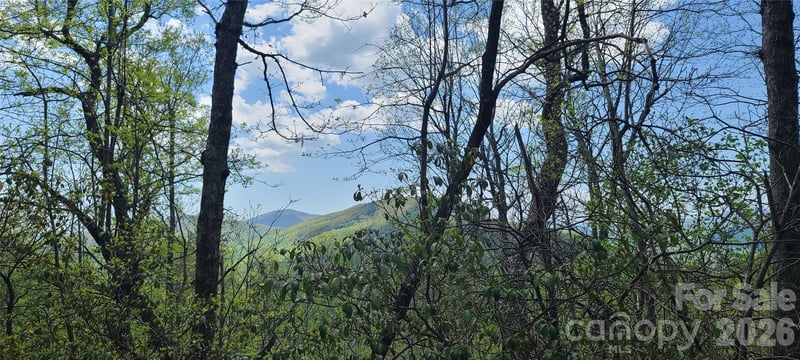 102 High Cliffs Trail, Black Mountain, NC -  - $250,000