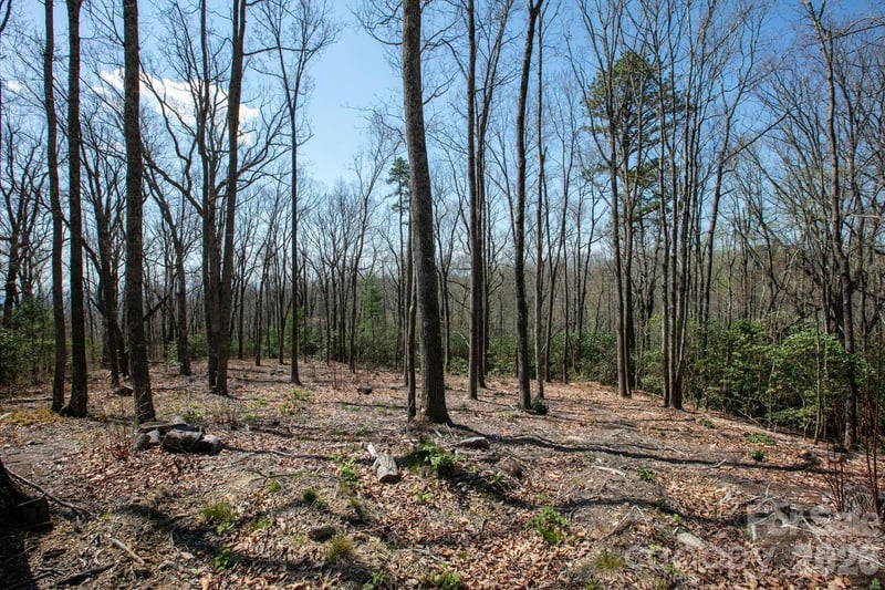 148 Spring Song Lane Apt 6, Fletcher, NC -  - $175,000