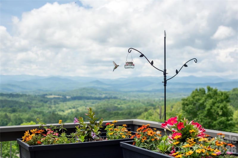 467 Crystal Heights Drive, Hendersonville, NC - 3 beds, 2 baths, 1,942 sqft - $995,000