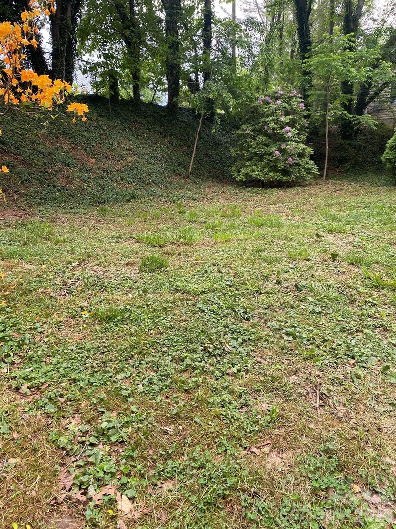 TBD Lilac Street, Asheville, NC -  - $80,000