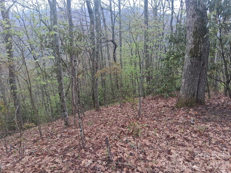 0000 Bear Creek Road, Maggie Valley, NC -  - $99,000