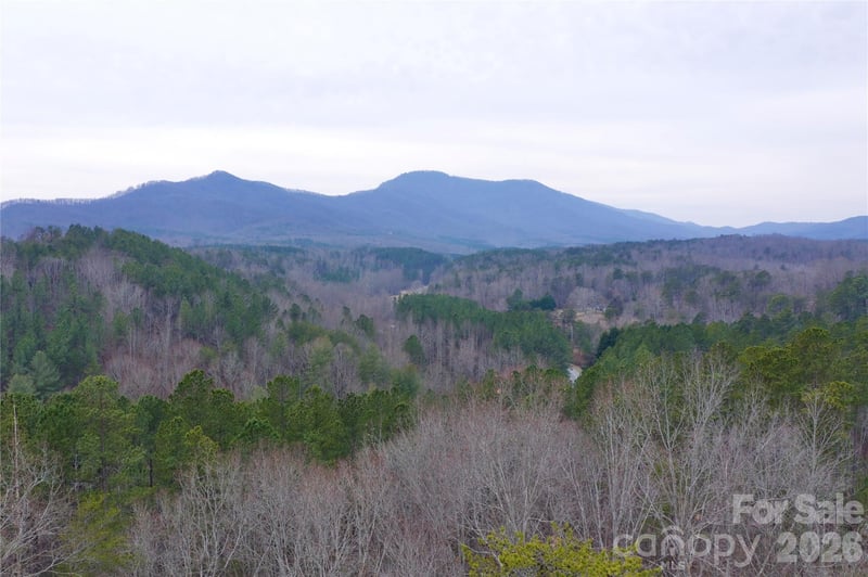 1140 Hwy 9 Highway, Mill Spring, NC -  - $489,900