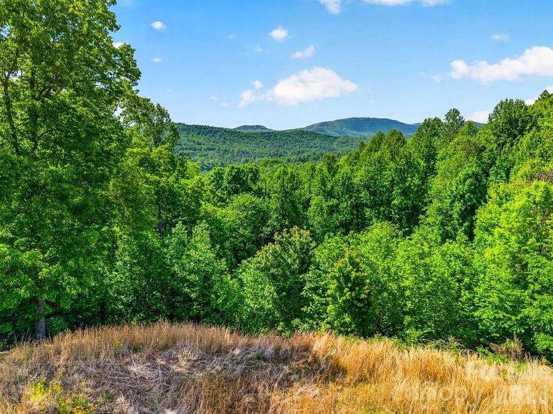 51 Falls Lane, Hendersonville, NC -  - $635,000
