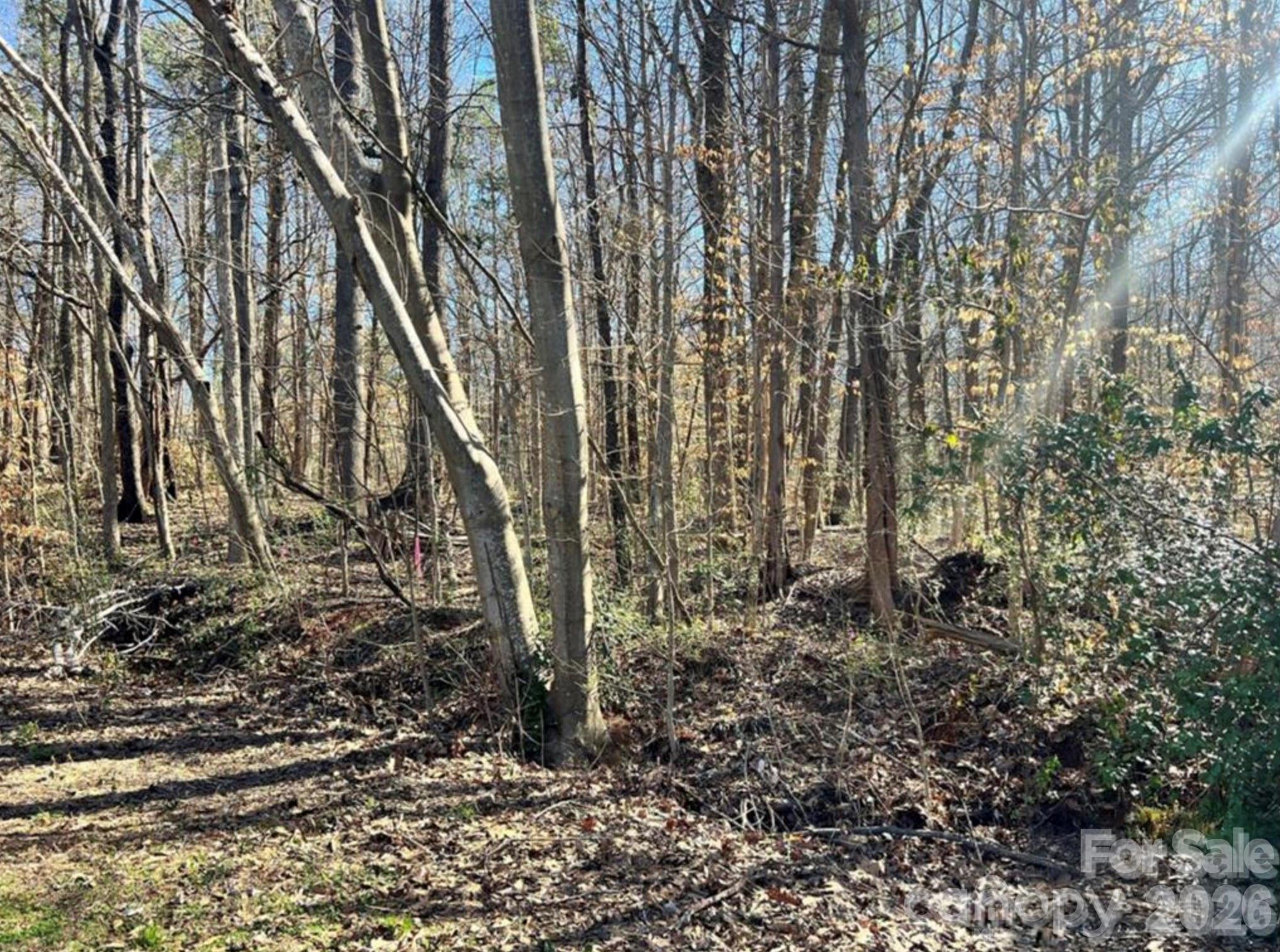 02 Lurecliff Place, Fort Mill, SC. property listing photo