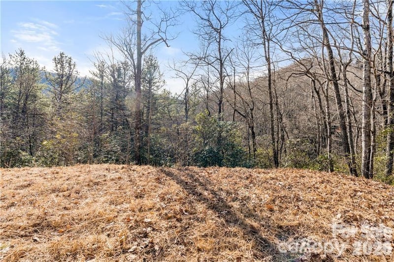 28 Trillium Lane C-1, Black Mountain, NC -  - $39,900