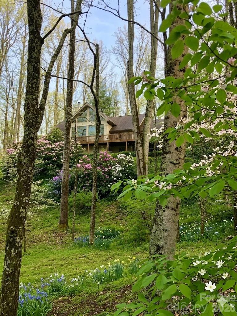 1551 Walnut Creek Road, Waynesville, NC. property listing photo