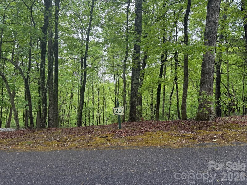 39 Black Bear Ridge Trail Apt 20, Zirconia, NC -  - $57,700