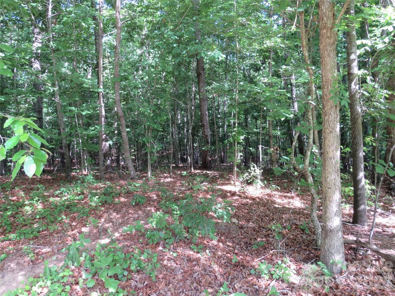 0 S Woodleaf Road, Forest City, NC -  - $41,050