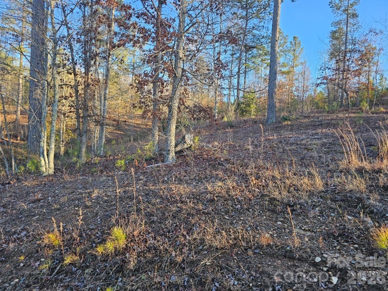 2167 Inlet Shore Road NE, Connelly Springs, NC -  - $55,000