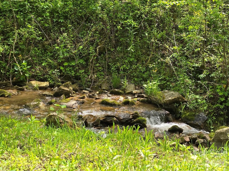99999 Roaring Fork Road, Mars Hill, NC -  - $125,000