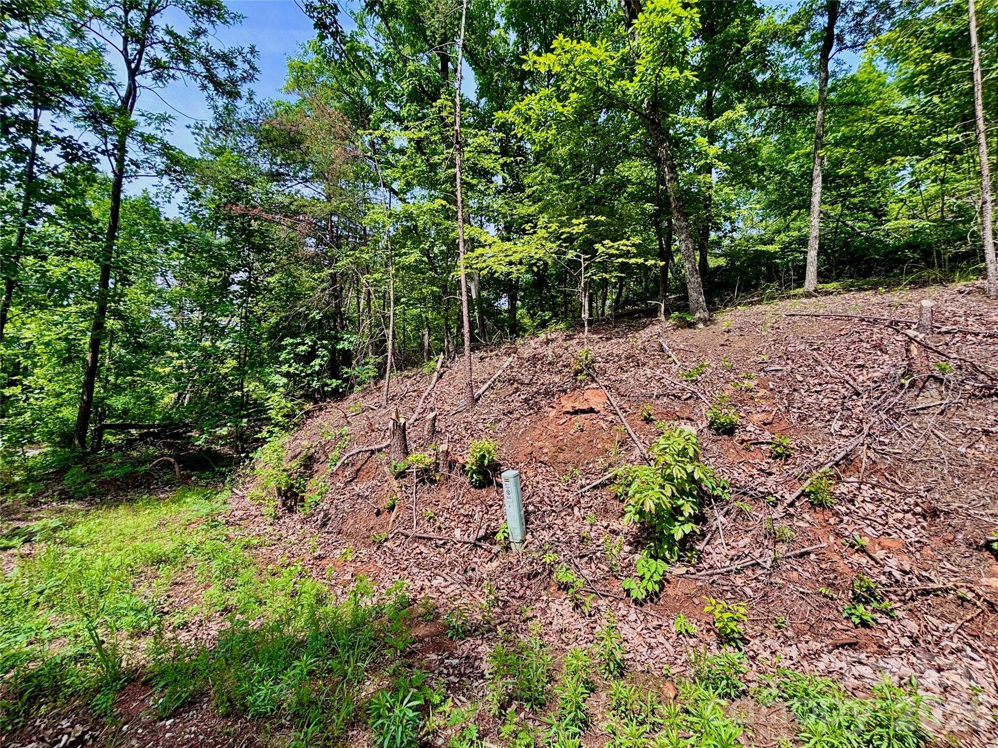 350 Springvalley Dr, Rutherfordton, NC 28139. property listing photo