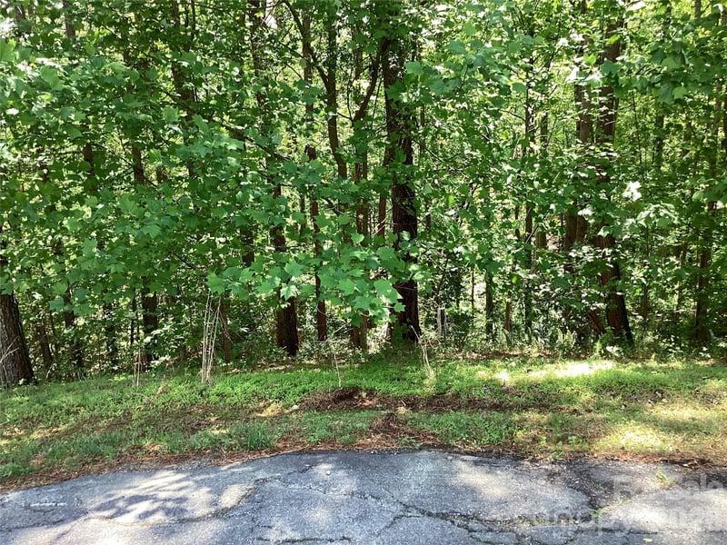 101 Pier Point Drive Apt 67, Connelly Springs, NC -  - $229,900