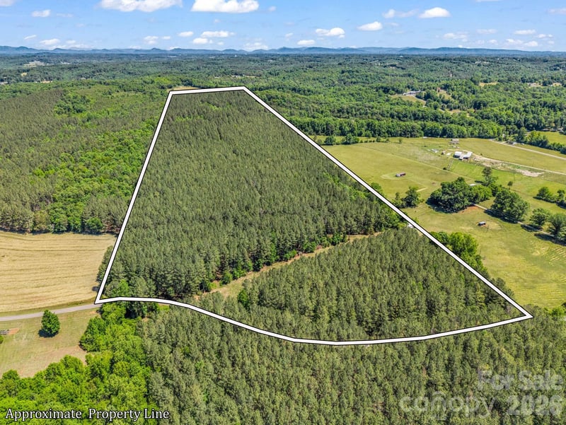 0 Jim Dobbins Road, Rutherfordton, NC -  - $699,000