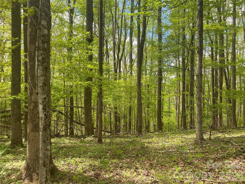 TBD US 23 Highway, Mars Hill, NC -  - $99,900