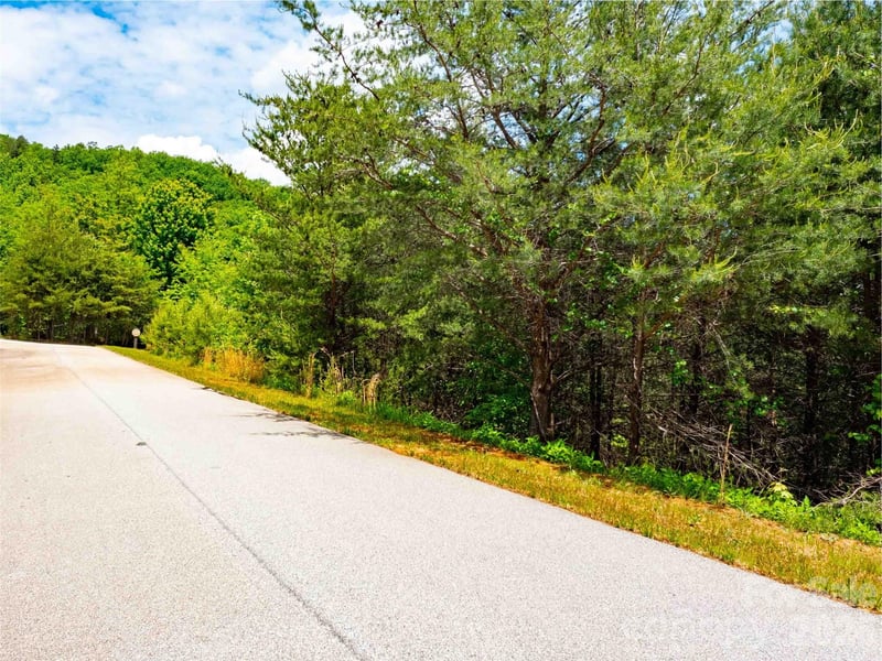 LOT 150 Birkdale Drive, Mill Spring, NC -  - $70,000