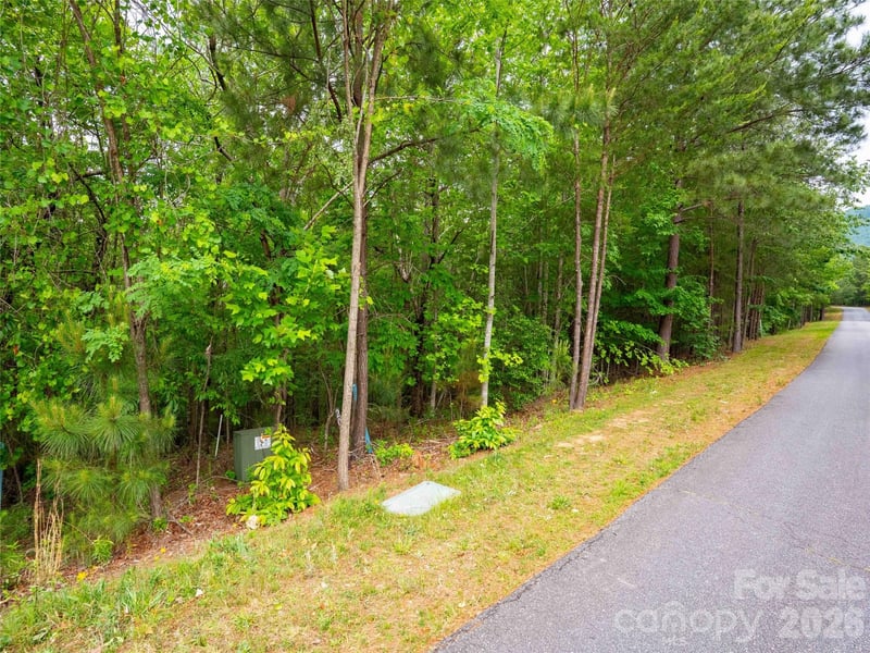 LOT 2009 Deep Gap Farm Road W, Mill Spring, NC -  - $75,000