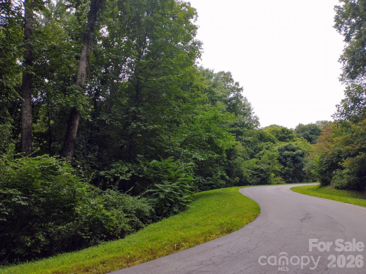197 Starling Pass, Asheville, NC. property listing photo