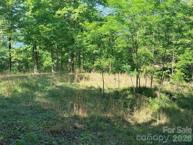 Lot 8 High Rock Ridge, Lake Lure, NC -  - $30,000