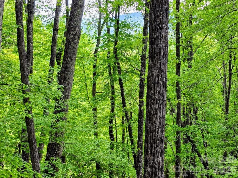 00 Hickory Springs Road Apt 12, Burnsville, NC -  - $37,900