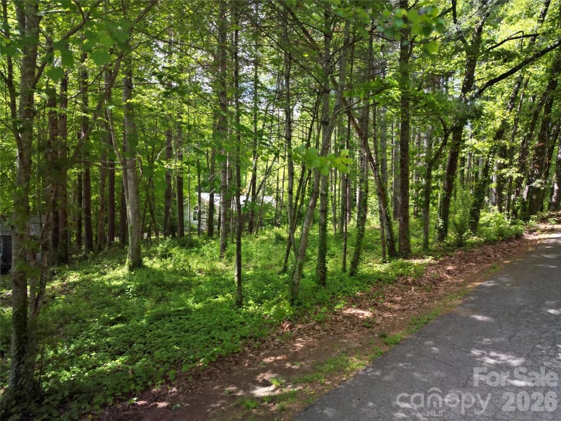 164 Country Lane, Brevard, NC -  - $109,000