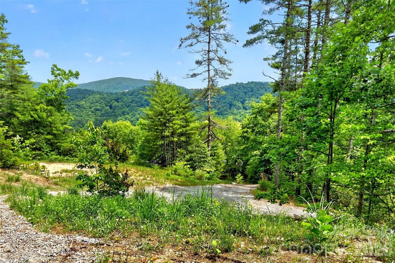 259 E Lester Lane, Hendersonville, NC -  - $659,000