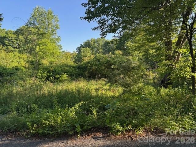 202 Dundee Street, Hendersonville, NC -  - $45,000