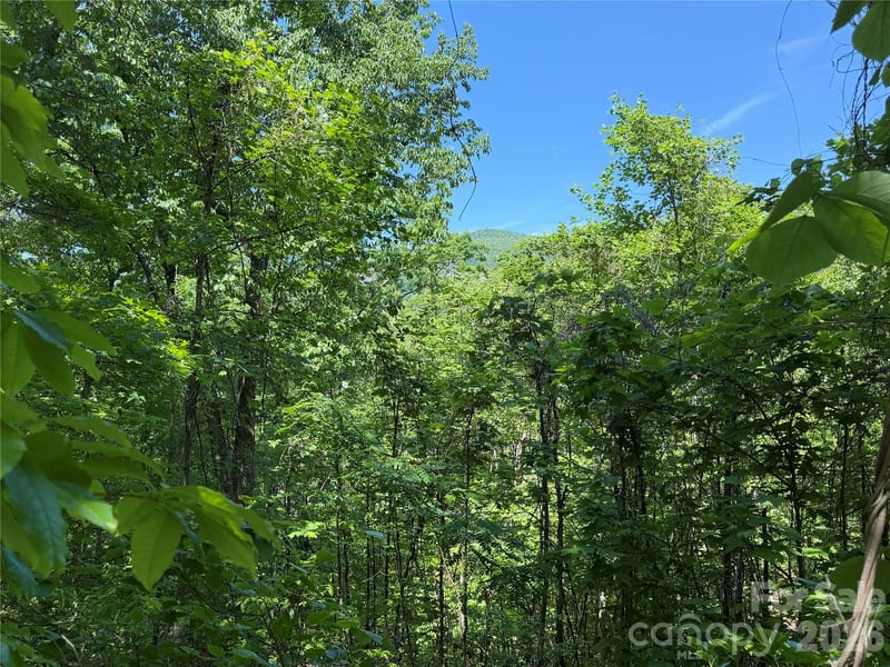 0 Buffalo Shoals Road Apt 1, Lake Lure, NC -  - $50,000