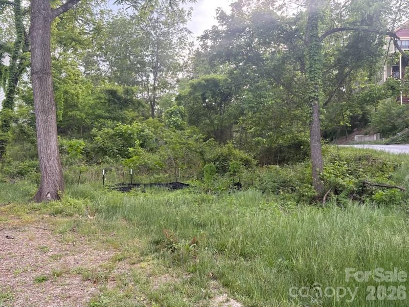 111 Waynesville Avenue, Asheville, NC -  - $350,000