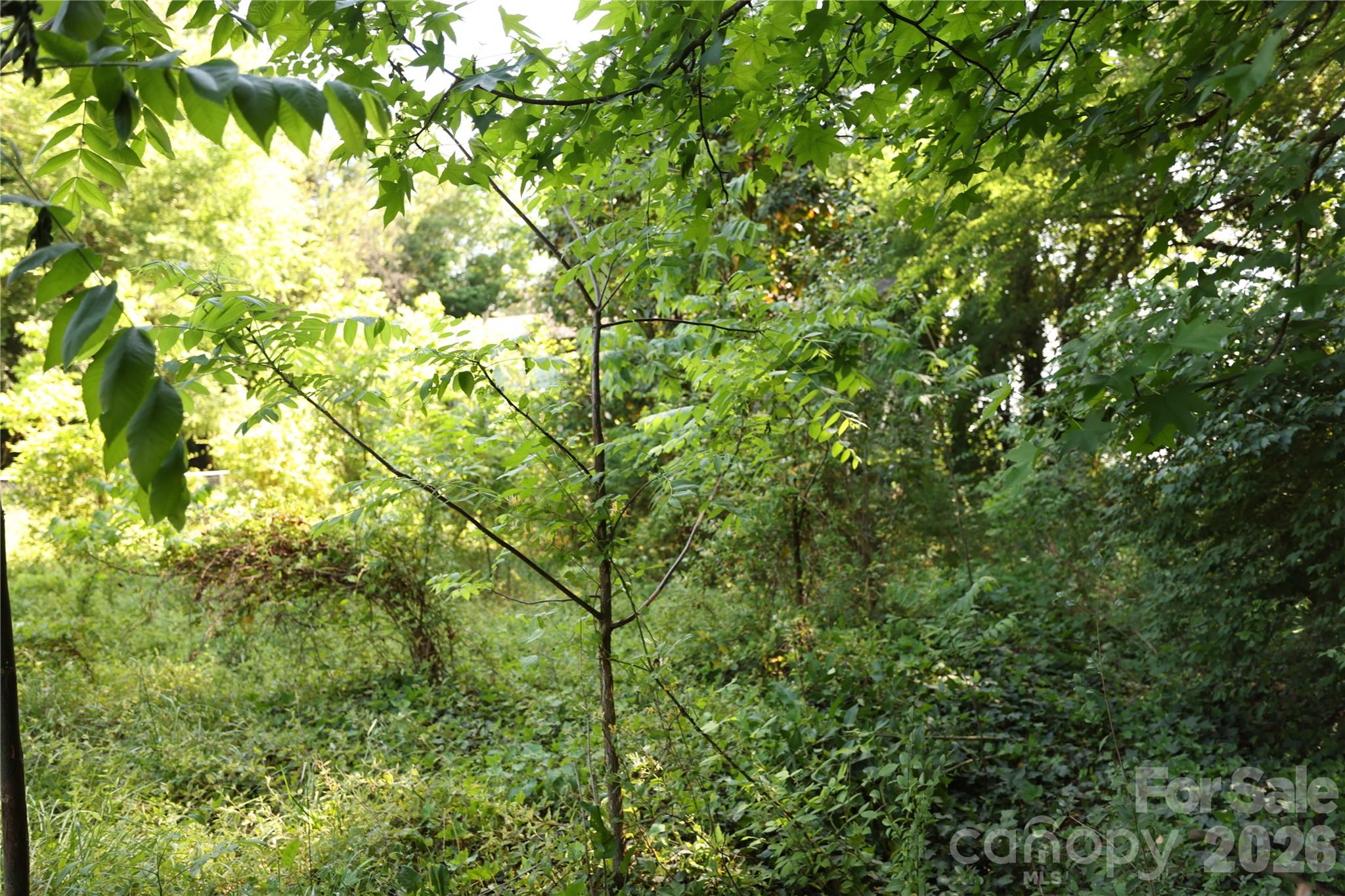 708 Smyre Drive, Gastonia, NC. property listing photo