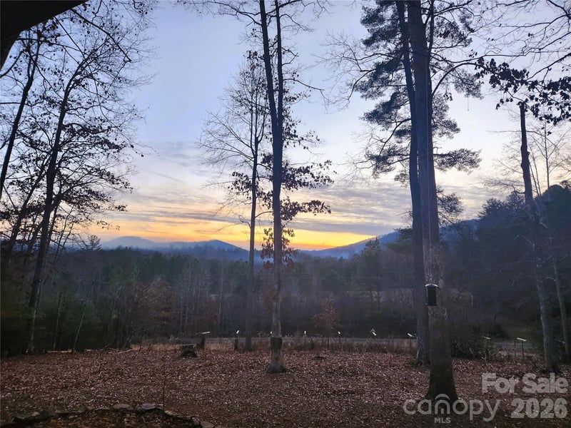 670 Cedar Creek Road, Lake Lure, NC - 3 beds, 2 baths, 1,469 sqft - $599,599