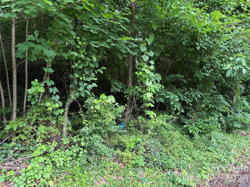 89 Iris Street, Asheville, NC -  - $60,000