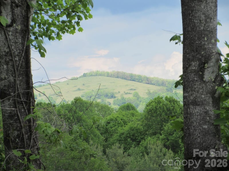 0 Rocky Top Trail Apt 4, Hot Springs, NC -  - $89,000