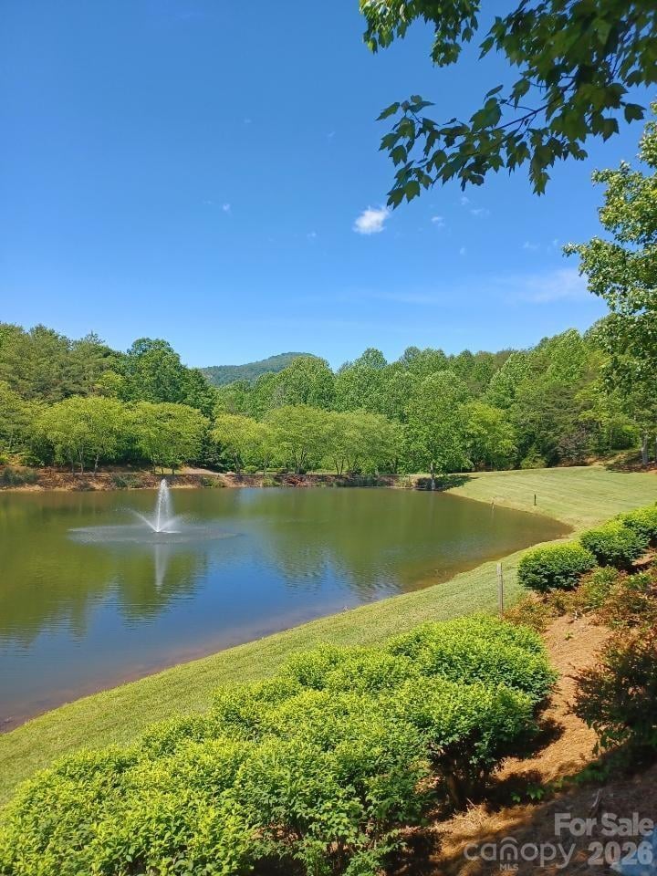 106 Cornell Circle, Lake Lure, NC -  - $100,000