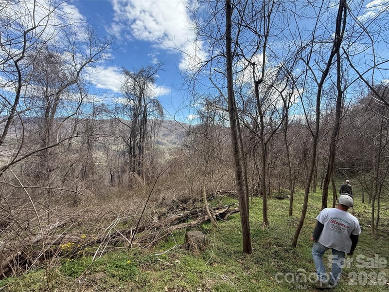 000 Caldwell Mountain Road, Hot Springs, NC -  - $849,111