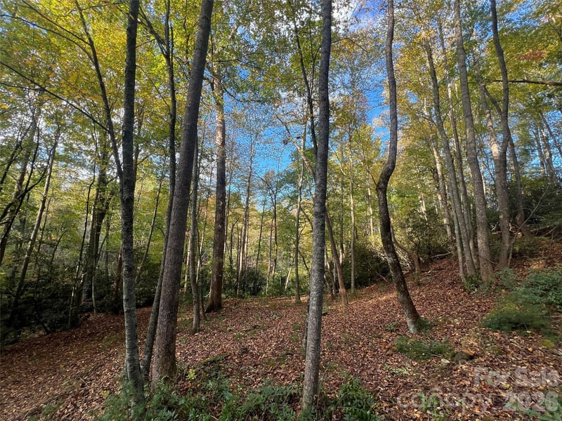 6 Dividing Ridge Trail Apt 01, Arden, NC -  - $407,777