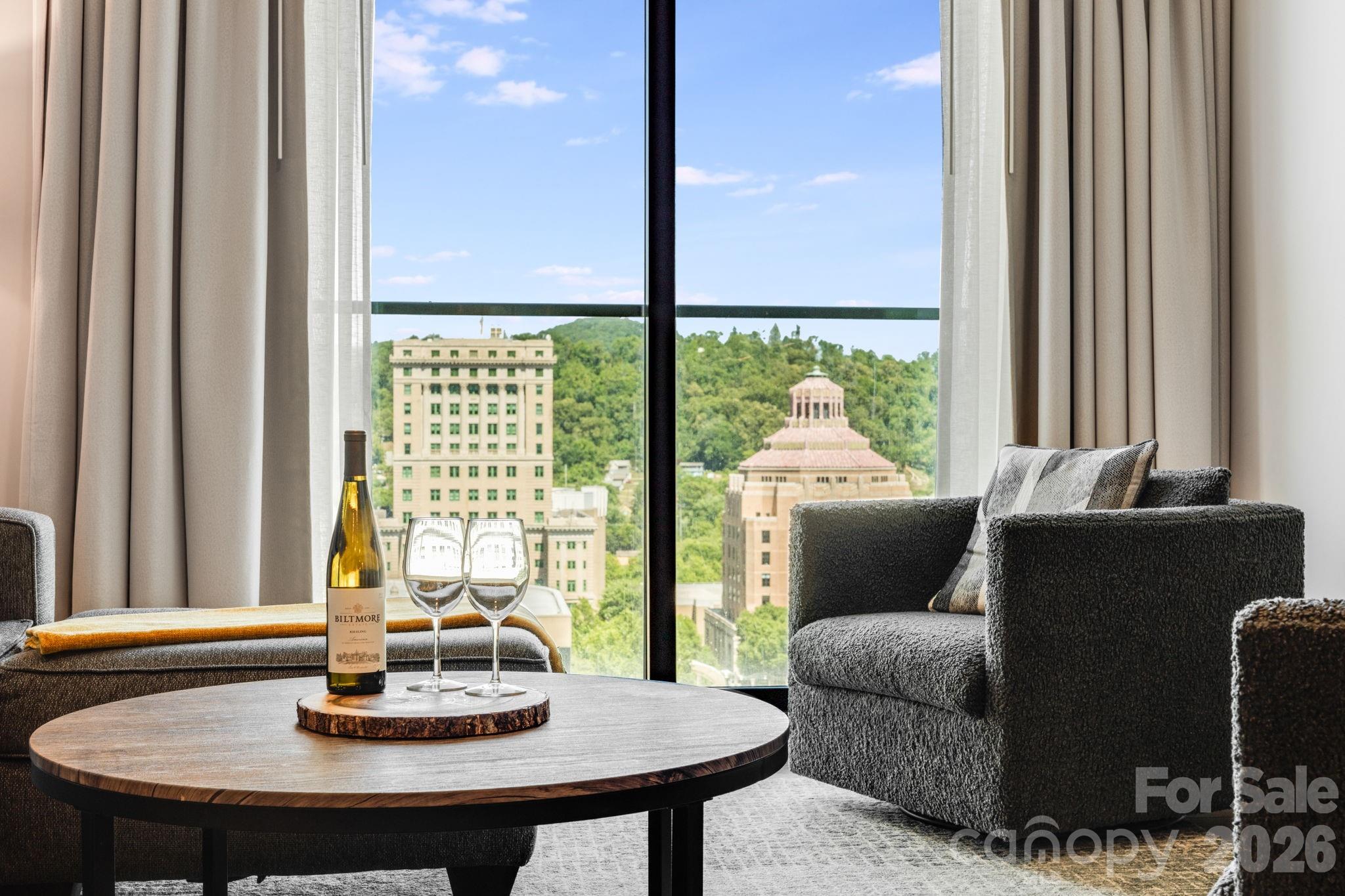 7 Patton Avenue Apt 1006, Asheville, NC. property listing photo