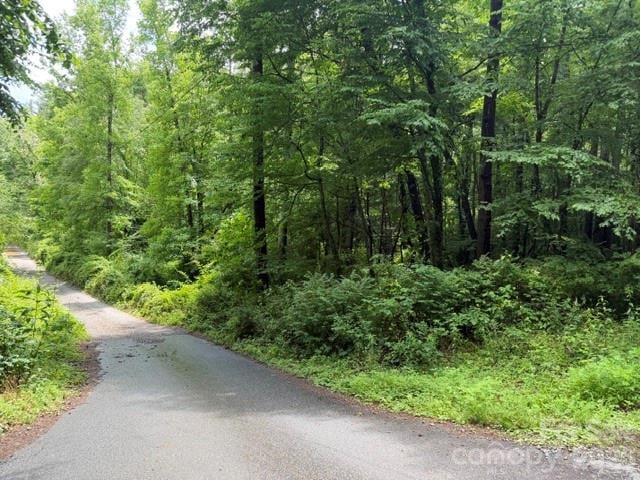 9999 Independence Boulevard, Asheville, NC -  - $175,000