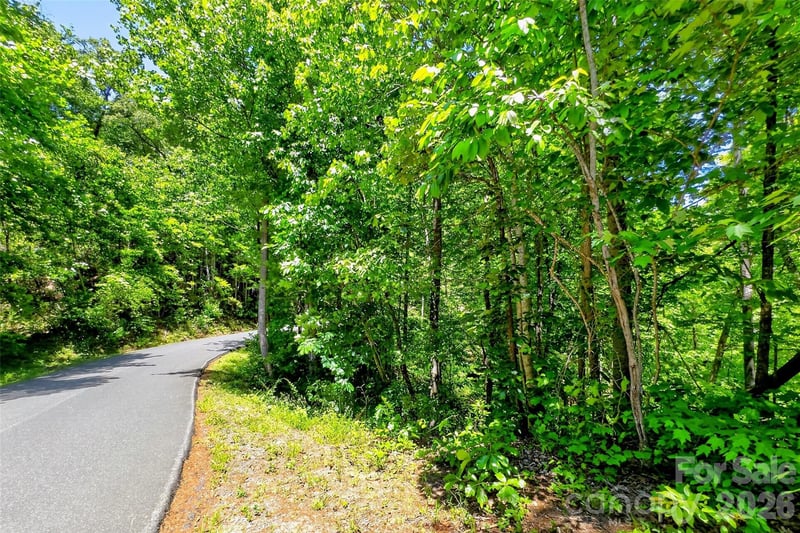 999 Justice Drive, Lake Lure, NC -  - $58,000
